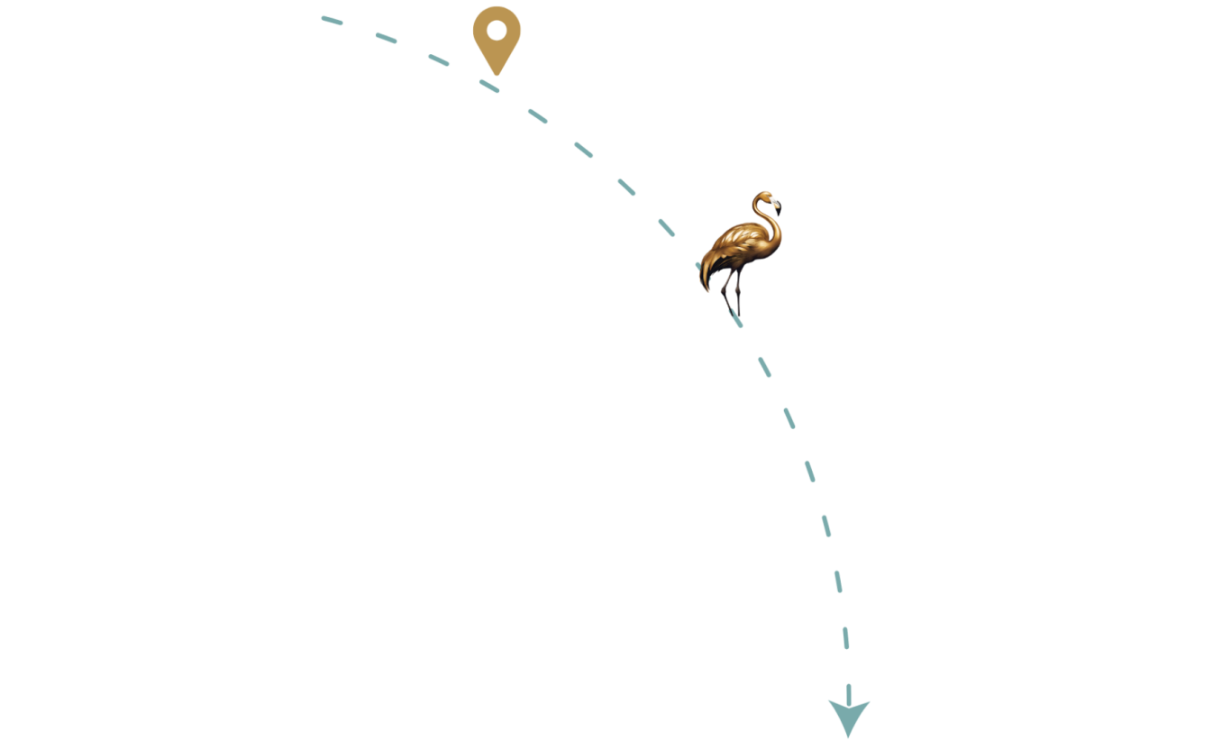 Ein goldener Flamingo wandert auf einer gestrichelten Linie zu einem Standortmarker.
