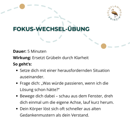 FOKUS-WECHSEL-ÜBUNG